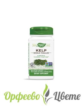 ХРАНИТЕЛНИ ДОБАВКИ Алкализиращи Kelp Whole Thallus/ Келп / Kафяви водорасли 600 mg x 100 капсули
